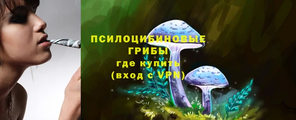 соль курить ск Алексеевка