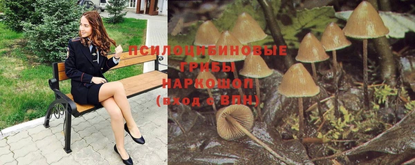 бошки Абаза
