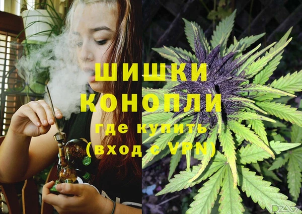 спайс Алзамай