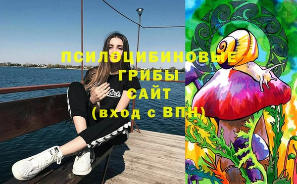 соль курить ск Алексеевка