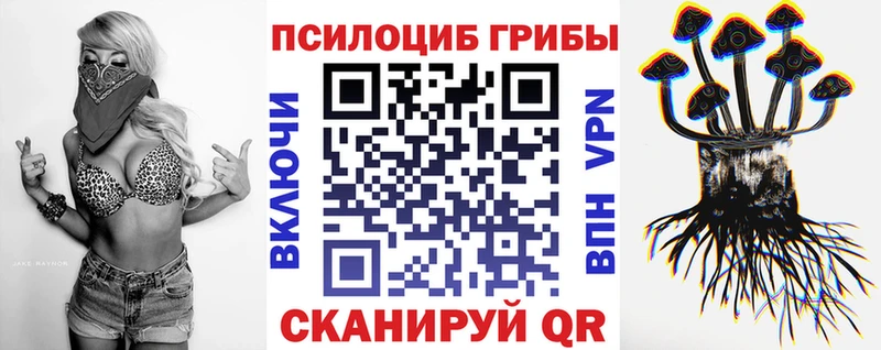 где купить наркоту  hydra ТОР  Псилоцибиновые грибы Cubensis  Фёдоровский 